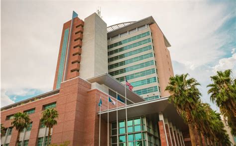 las vegas municipal court case search